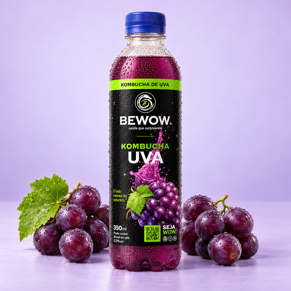 Kombucha Frutas Vermelhas e Uva - Caixa 350 ml